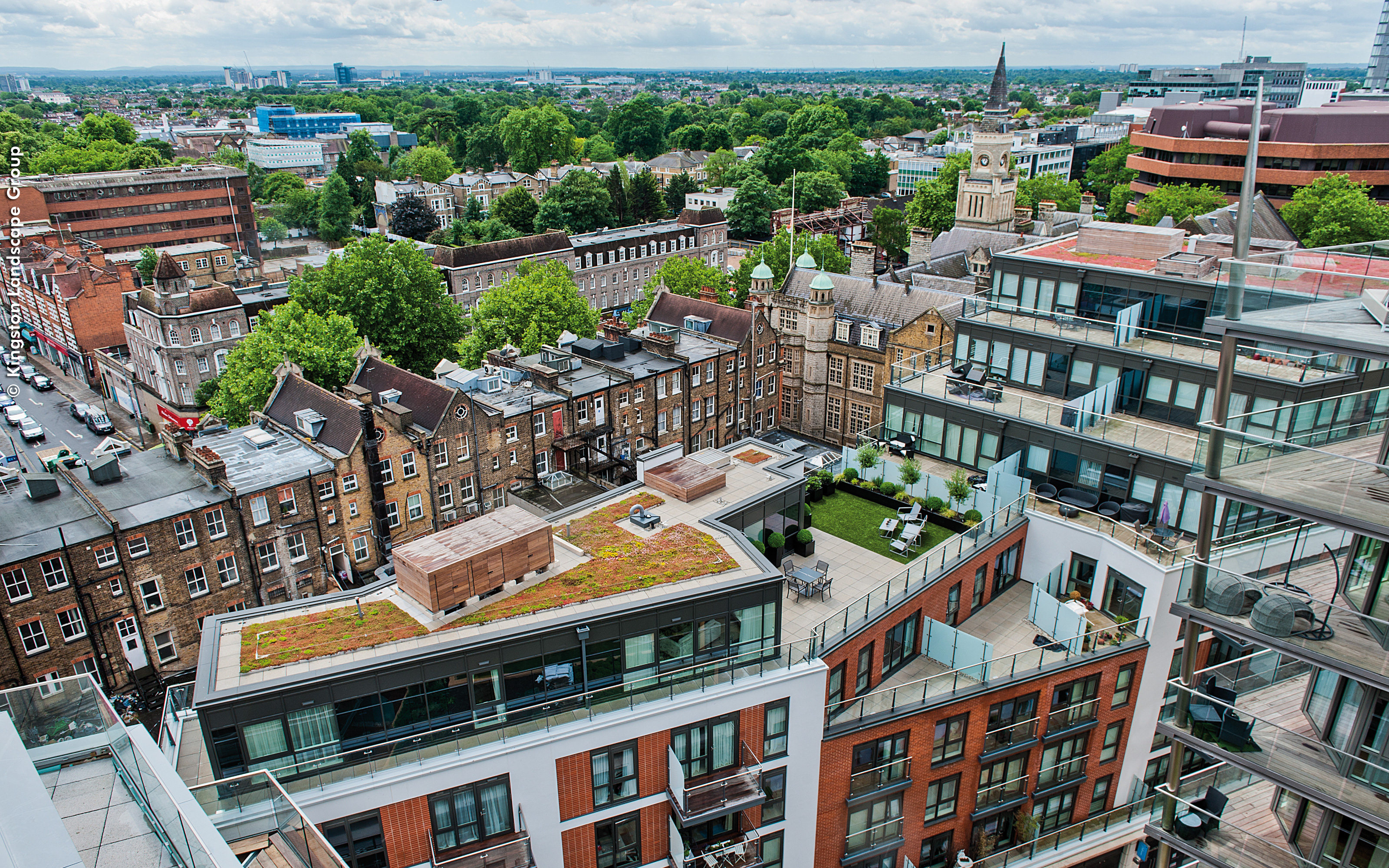 A green roof with sedum matting and aluminium edging was installed on one of the buildings. Bird's eye view onto a sedum roof in the city